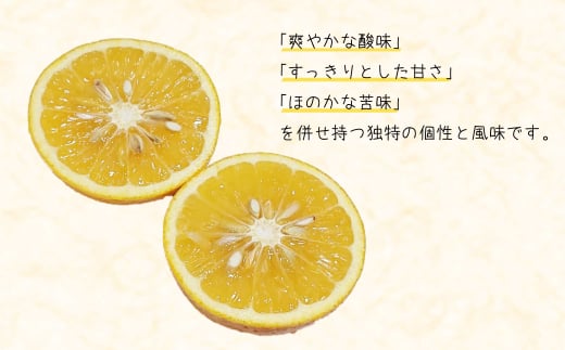 淡路島なるとオレンジ 4kg 【発送時期2026年3月～4月頃】