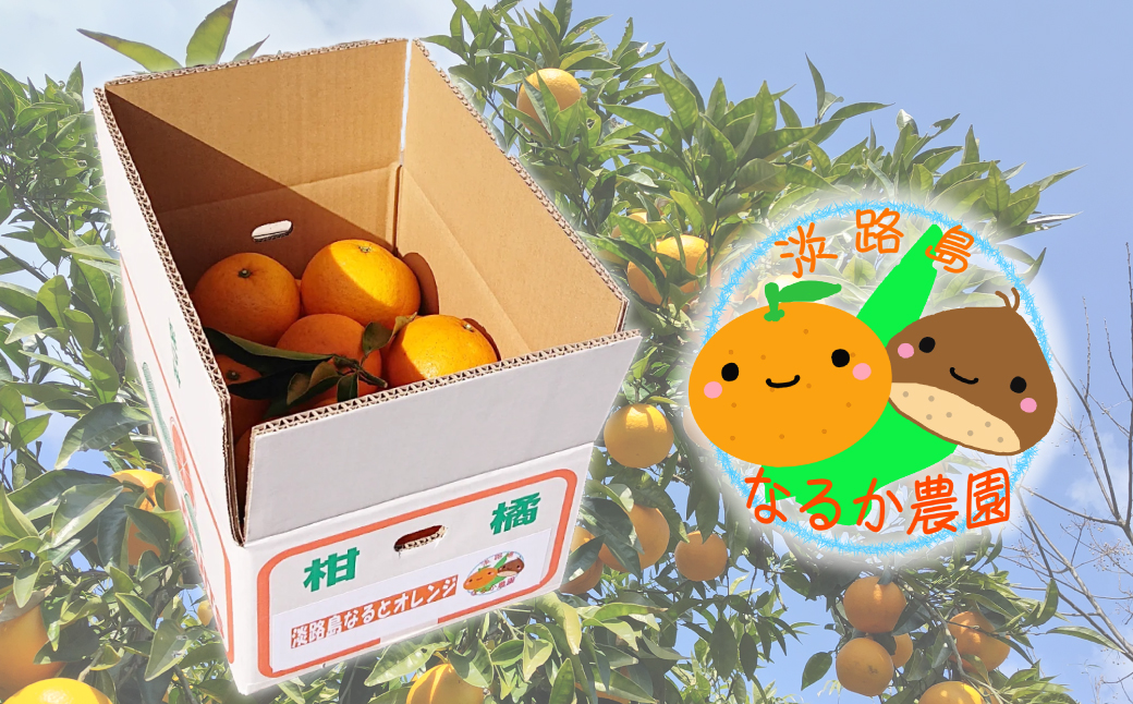 淡路島なるとオレンジ 4kg 【発送時期2026年3月～4月頃】