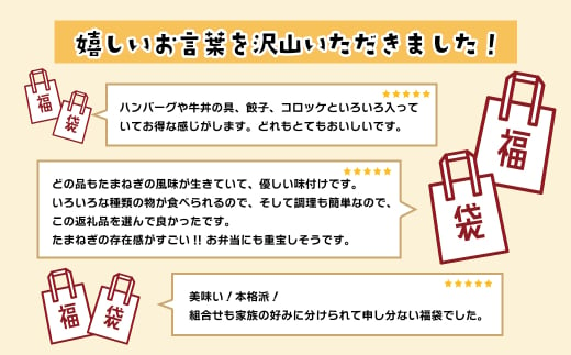 【2025年2月～3月発送】今井ファームの冷凍食品お楽しみ福袋【ハンバーグ・牛丼・餃子・コロッケ】