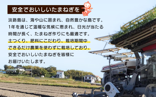 【定期便12ヶ月】淡路島たまねぎ 歩-AYUMU- 10kg　　[玉ねぎ 玉葱 タマネギ 玉ねぎ 淡路島産 玉ねぎ 玉ねぎ 玉ねぎ 玉ねぎ]