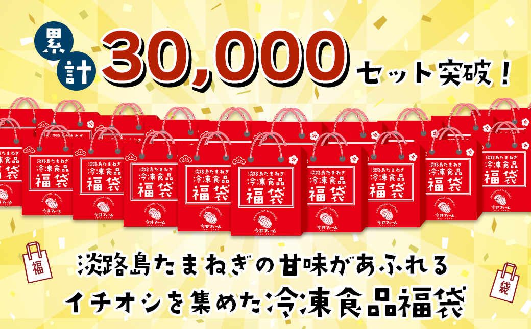 【2025年3月～4月発送】今井ファームの冷凍食品お楽しみ福袋【ハンバーグ・牛丼・餃子・コロッケ】　　[福袋 ハンバーグ 福袋 牛丼 福袋 ギョウザ 福袋 コロッケ 福袋]