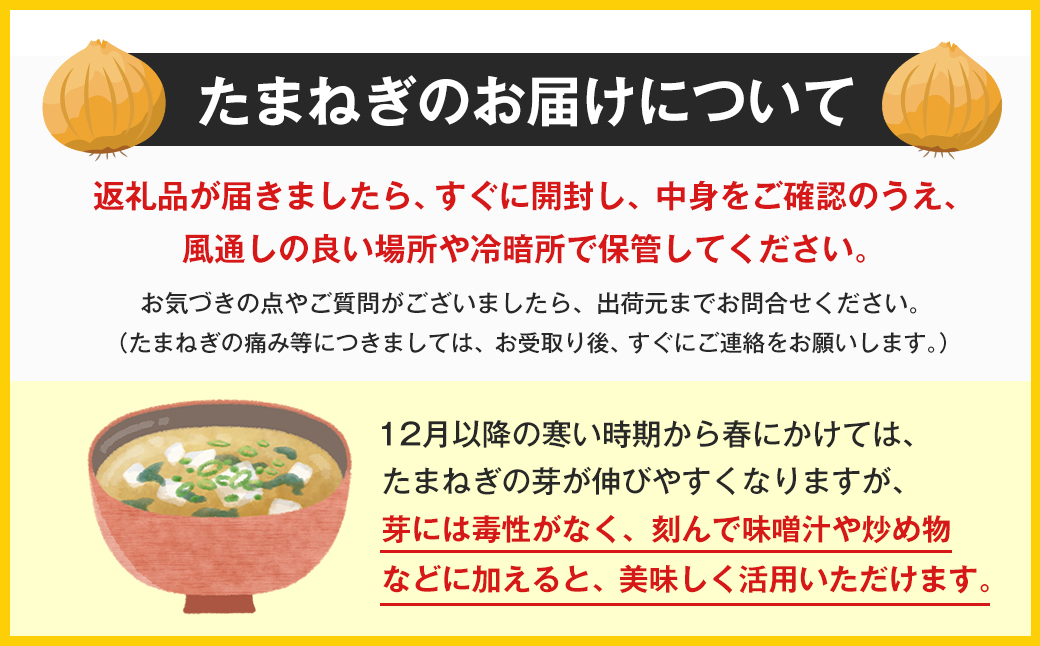 【新玉ねぎ】淡路島 池上農場の「あやたけ」5kg【発送時期：2026年3月下旬～5月頃】 玉ねぎ