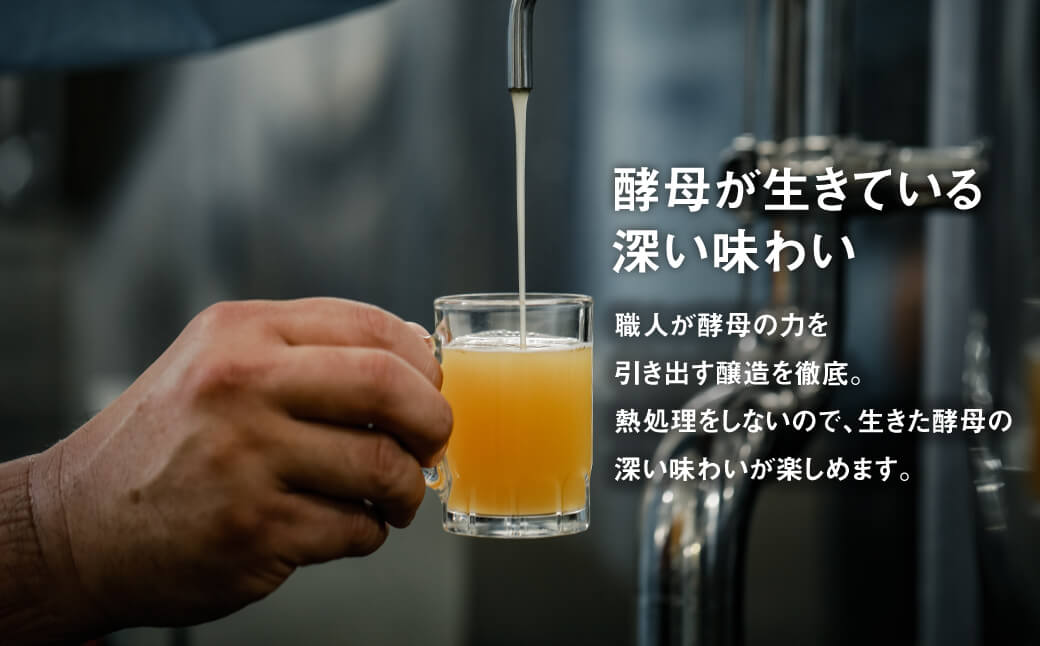 【定期便3ヶ月】あわぢびーる飲み比べ６本セット《淡路島のクラフトビール》