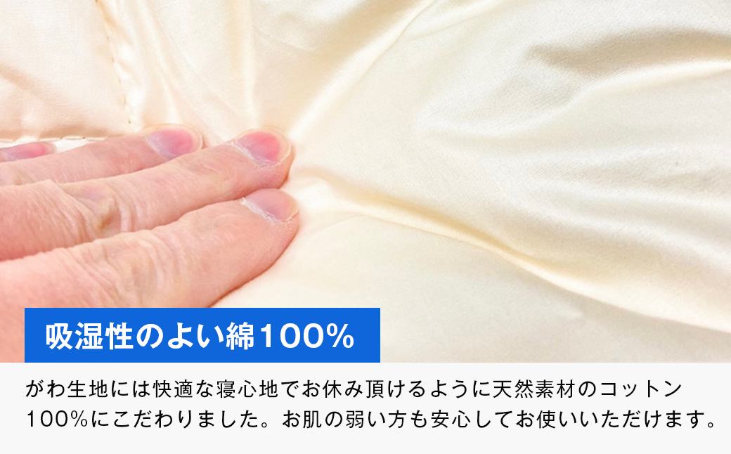 清潔掛ふとん 洗えるインビスタ ダクロン ２枚合わせ 日本製 SL ふわもち15TW