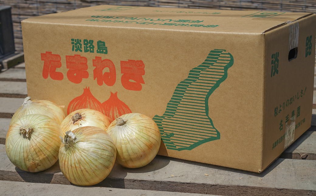 【定期便】名手農園の淡路島特産玉ねぎ10kgの12ヶ月コース　[たまねぎ 玉ねぎ]