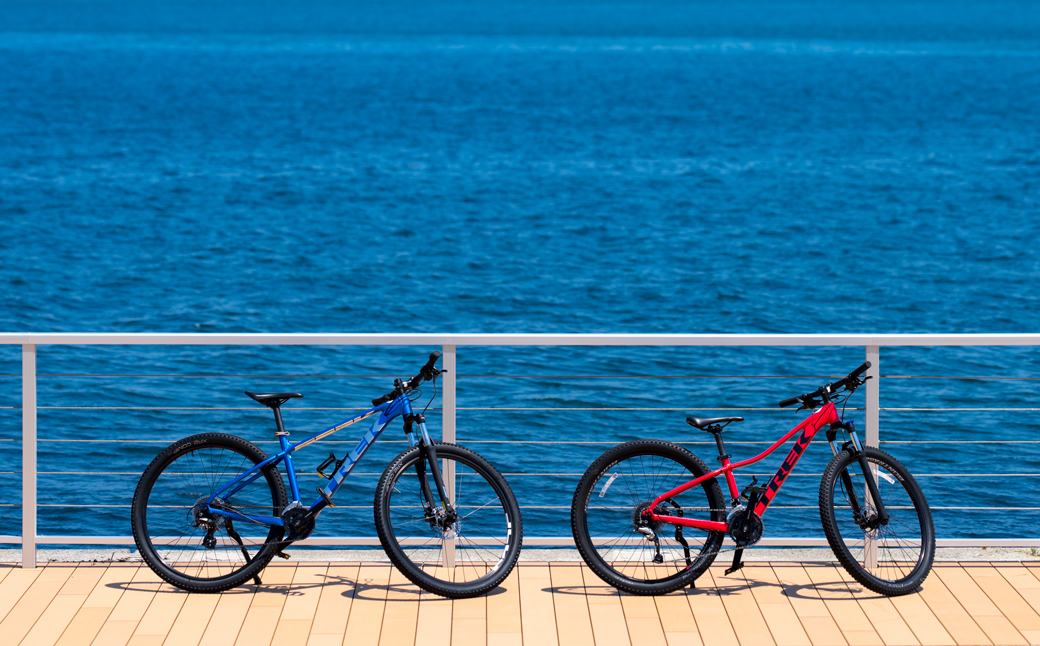 アクアイグニス淡路島 共通ご利用券(6万円分) 宿泊 温泉 観光 クーポン 割引券 日帰り温泉