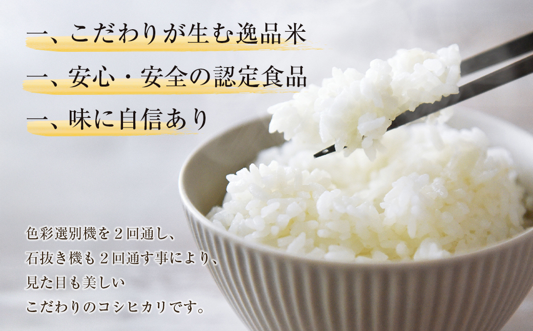 野添農園のコシヒカリ 5kg「ひょうご安心ブランド」　[精米 白米 コシヒカリ]