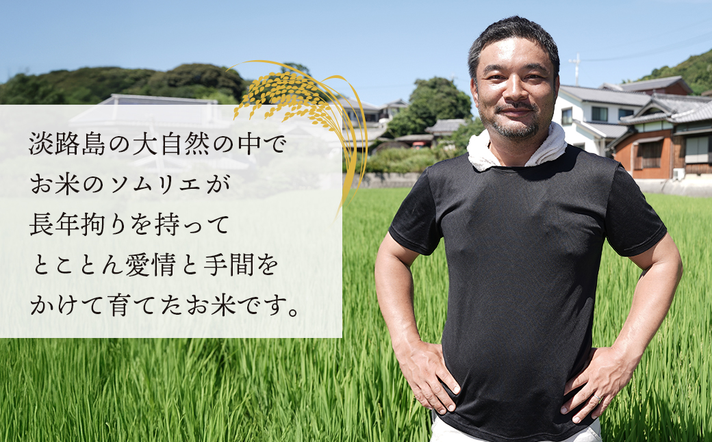 【定期便】野添農園のコシヒカリ 5kgｘ6ヶ月「ひょうご安心ブランド」　[精米 白米]