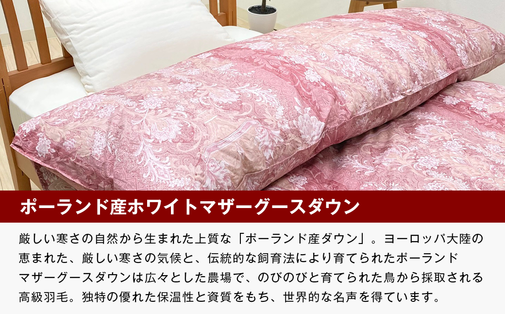 ãã¬ãã¢ã ãŽãŒã«ã ããŒã©ã³ããã¶ãŒã°ãŒã¹95ïŒ
äºå±€åŒ 80è¶
é·ç¶¿ (830B)