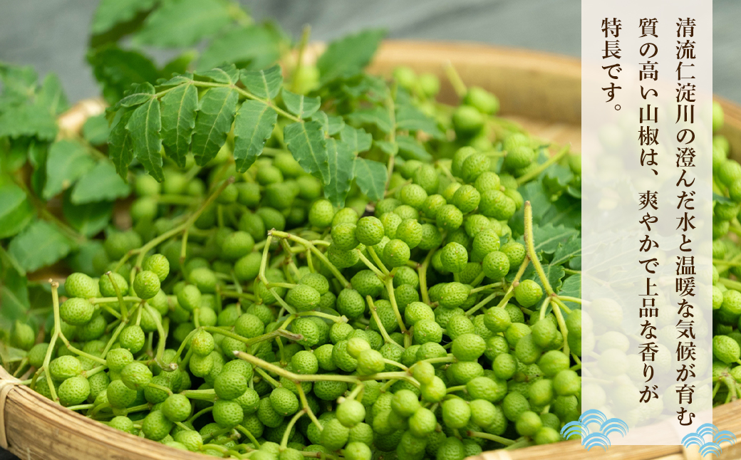 淡路島 松幸丸水産ちりめん山椒500ｇ 兵庫県産