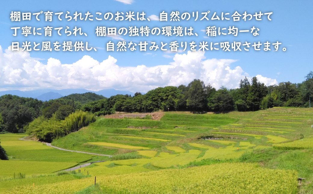 【定期便】健幸農園の棚田米 10kg×3ヵ月セット 精米 白米 農家直送