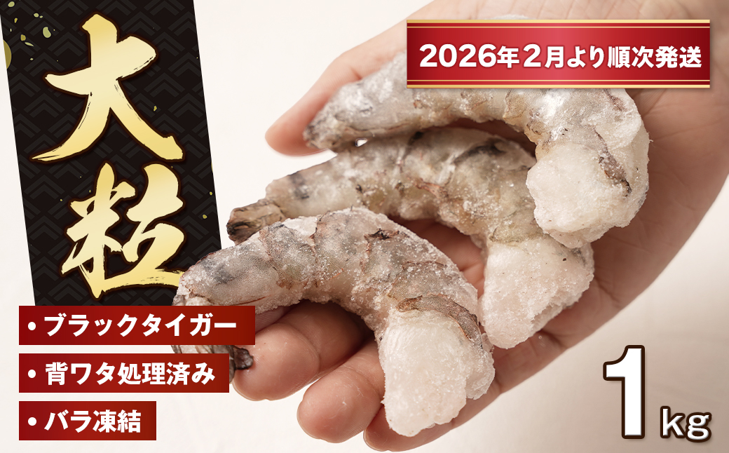 至福の大粒むきえび　背ワタ処理済 1kg【2026年2月より順次発送】　ブラックタイガー 冷凍 ムキエビ  大型 海老