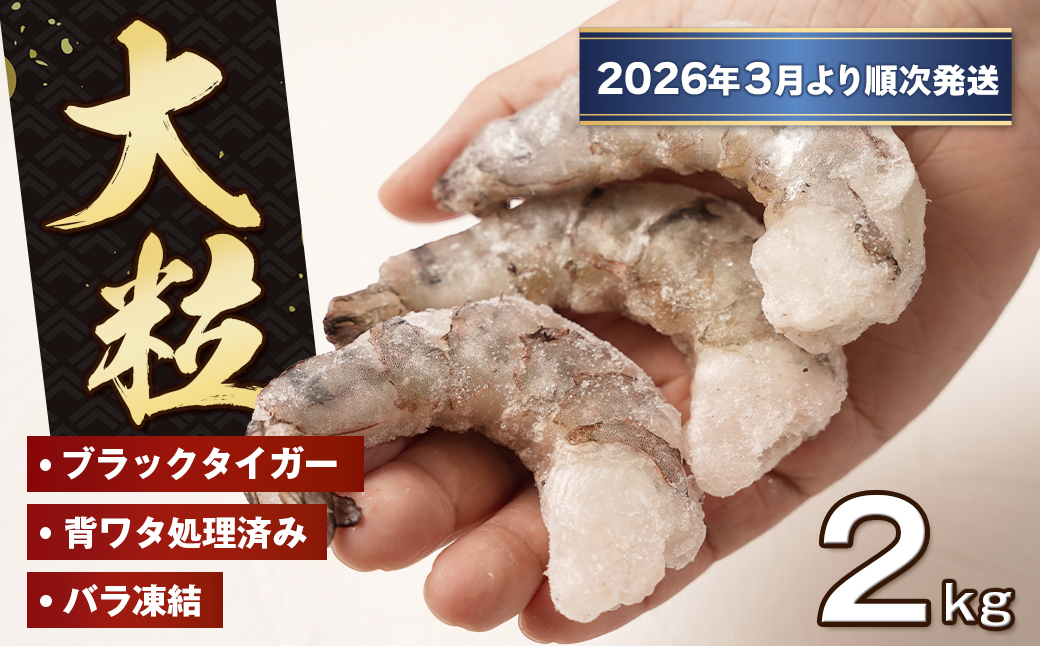 至福の大粒むきえび　背ワタ処理済 2kg（1kg×2袋）【2026年3月より順次発送】　ブラックタイガー 冷凍 ムキエビ  大型 海老