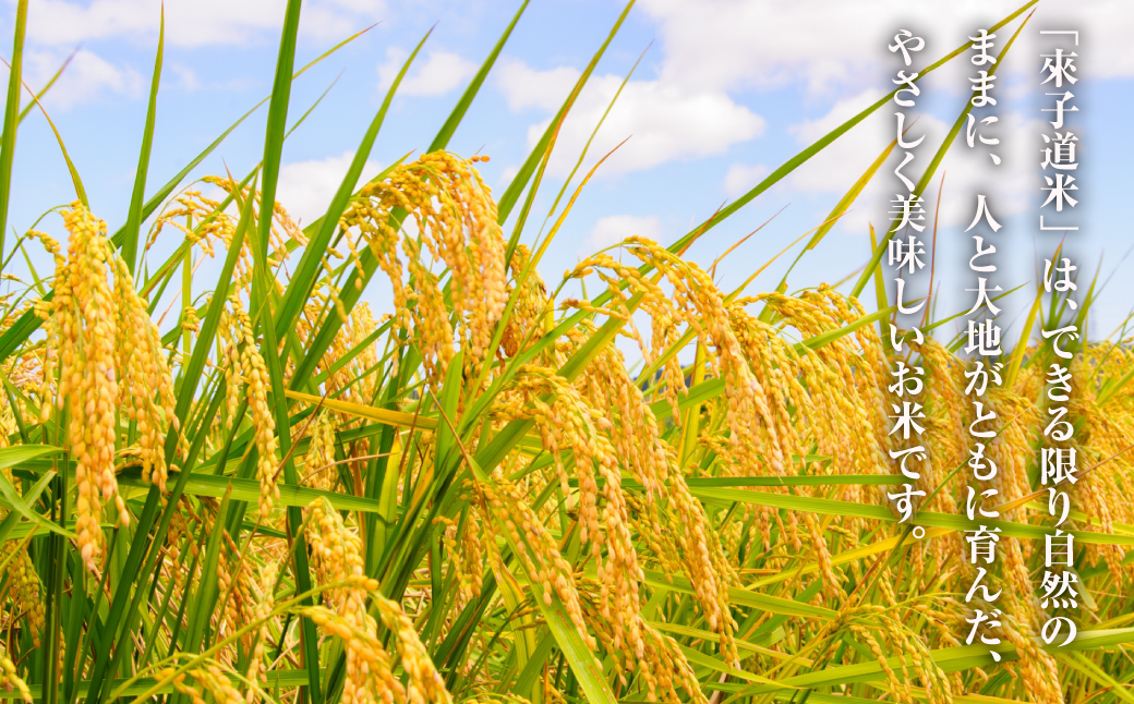 來子道米 ～きしどうまい～ 450g×3個 【栽培期間中、無農薬無肥料】 精米 白米