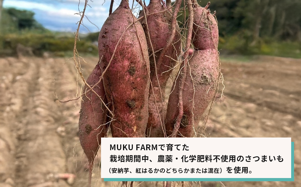 【淡路島産】冷凍焼き芋　2kg　不揃い【栽培期間中、農薬・化学肥料不使用】焼き芋