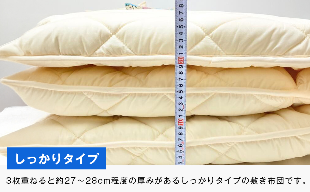 インビスタ ダクロン サポート 清潔シングル 無地 固わた入 しっかり敷ふとん 