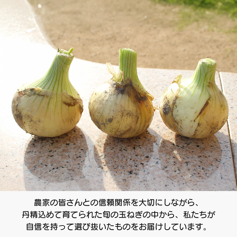 道の駅あわじ厳選新玉ねぎ５kg【発送時期2026年5月頃】 玉ねぎ