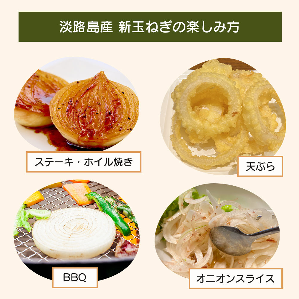 道の駅あわじ厳選新玉ねぎ５kg【発送時期2026年5月頃】 玉ねぎ