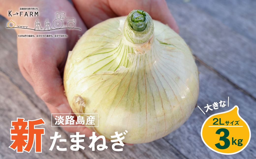 【新玉ねぎ】淡路島たまねぎ 大きな2Lサイズ 3kg【発送時期：2026年3月下旬～5月頃】　玉ねぎ 産地直送