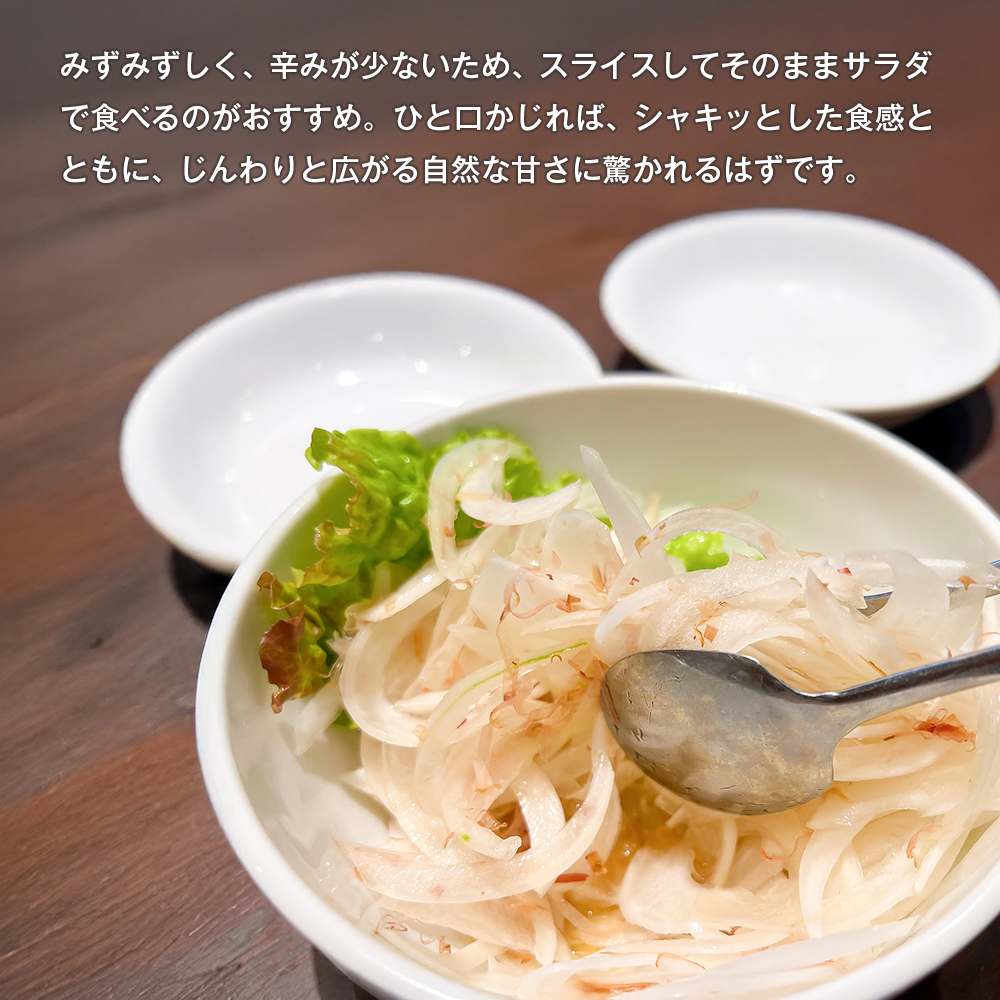 新玉ねぎ 自然栽培 4.5kg 玉ねぎ