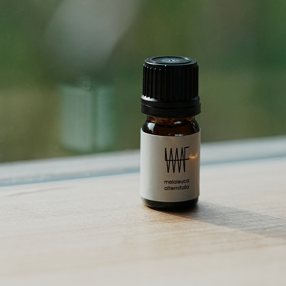 maf Essential oil Tea Tree エッセンシャルオイル 100％天然ティーツリー精油