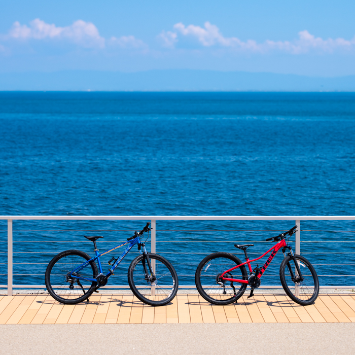 アクアイグニス淡路島 共通ご利用券（3万円分） 日帰り温泉 