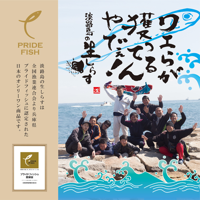 淡路島の生しらす沖漬け（50g×10パック入）