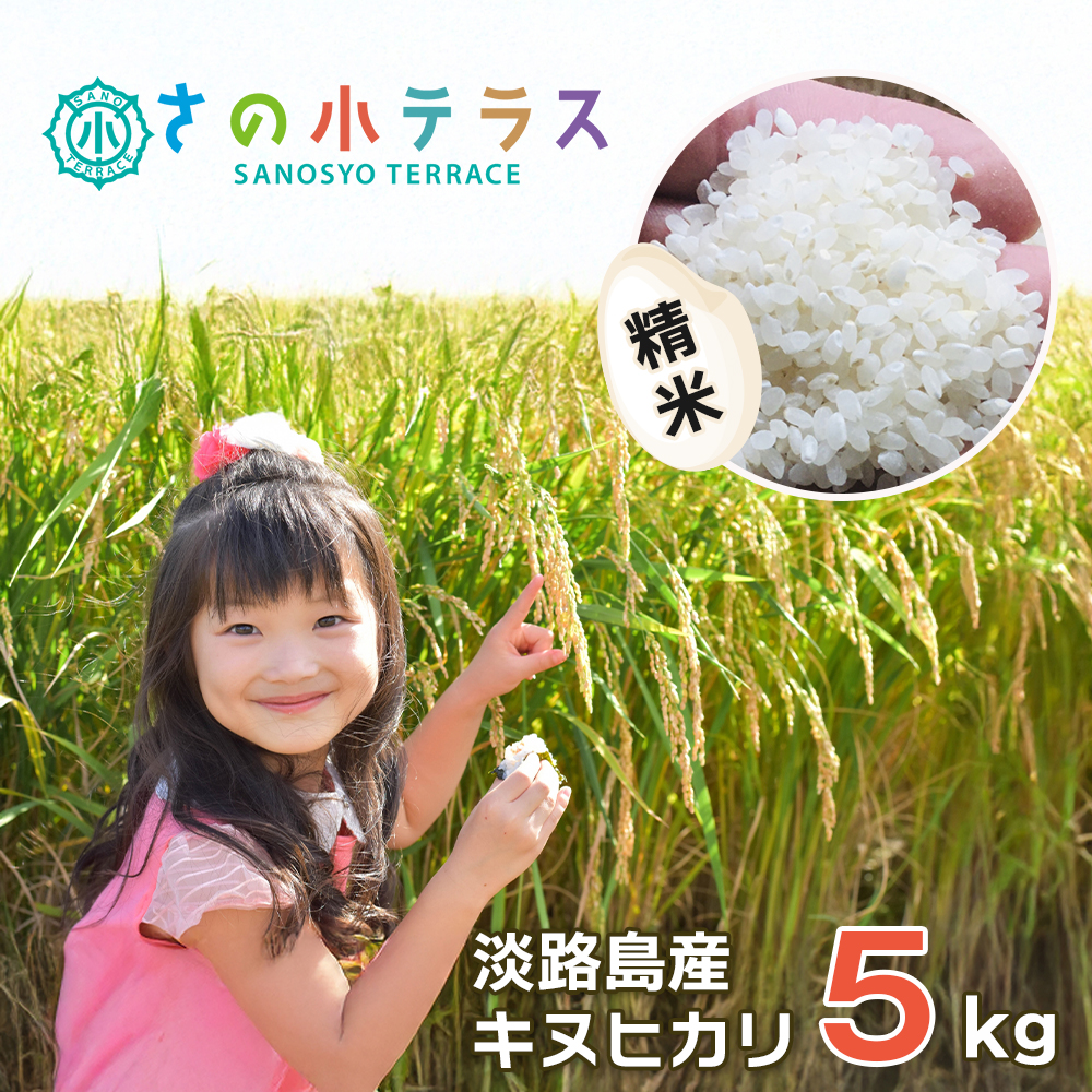 令和７年度 淡路島産キヌヒカリ 5kg （白米）