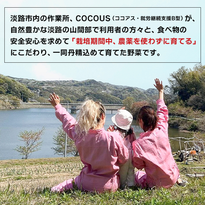 淡路島çè± 10kg ãæ œå¹æéäžãç¡èŸ²è¬æ œå¹ããµã€ãºæ··åSSïœ2L çãã