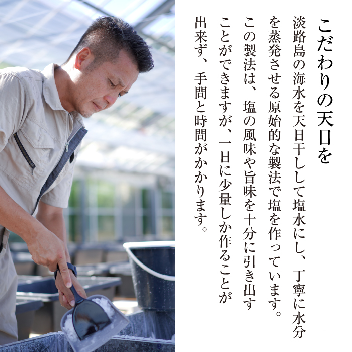 淡路島海塩 TEN-PI-EN 大粒パウダーセット 50g×4袋