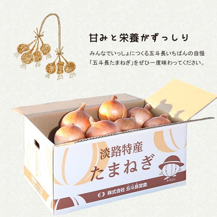 五斗長玉ねぎ 5kg　玉ねぎ