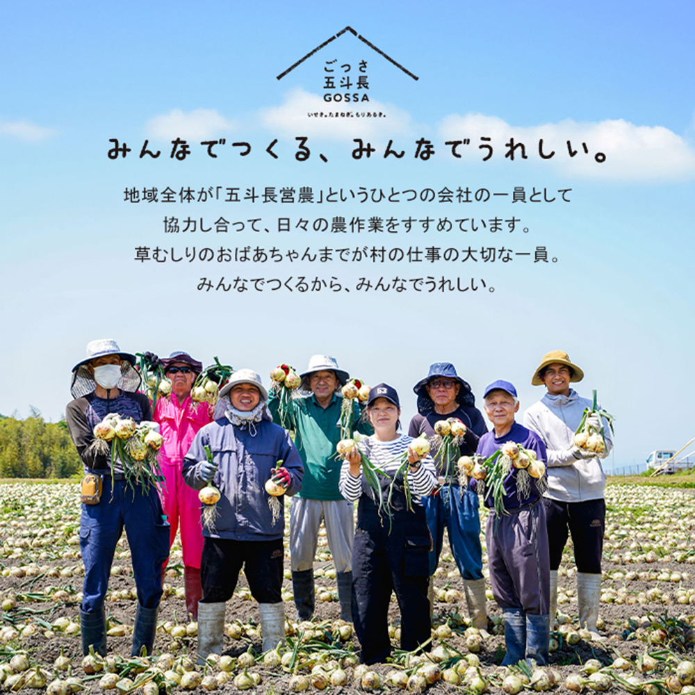 五斗長玉ねぎ 10kg　玉ねぎ