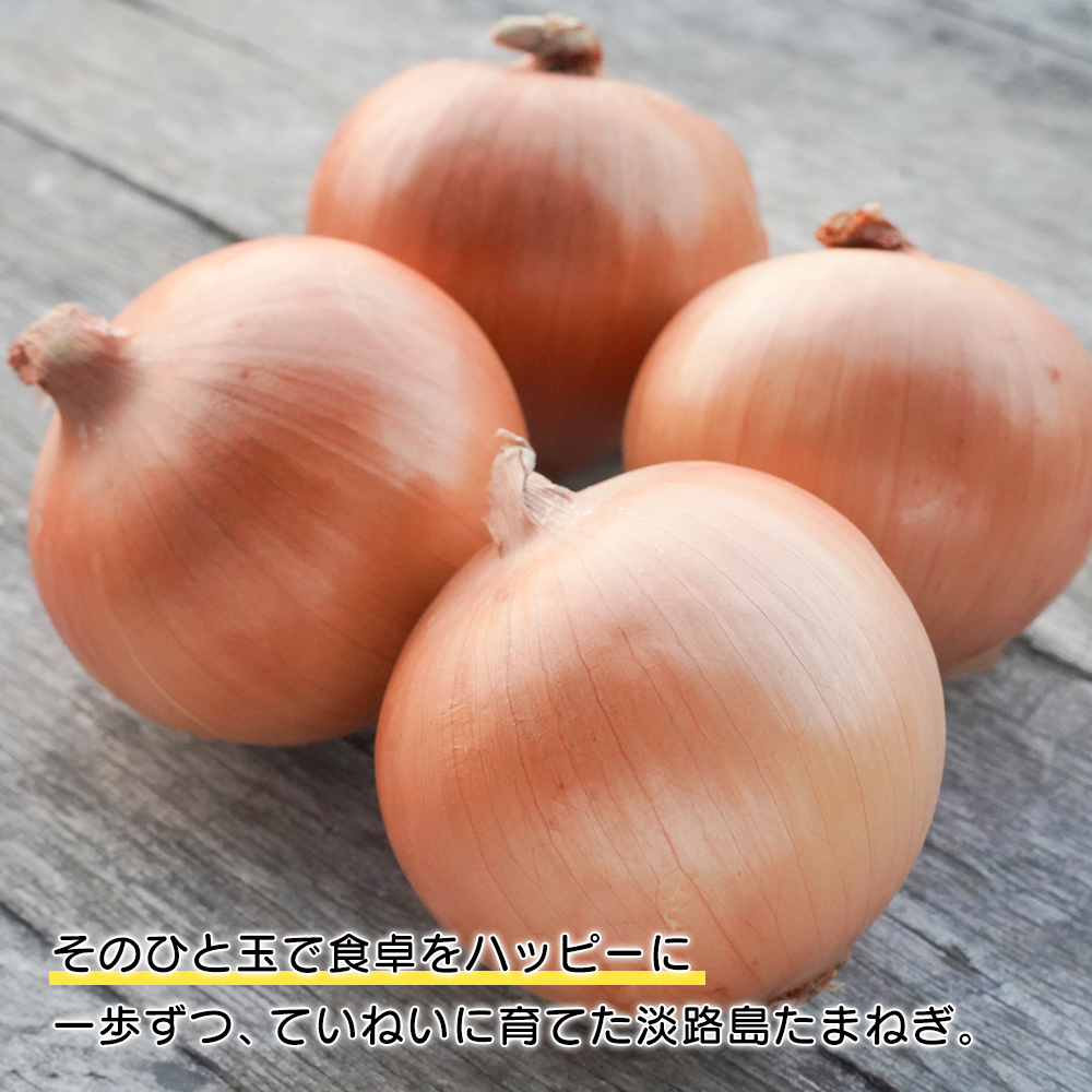 豺。霍ッ蟲カ邇峨ュ縺 豁ゥ-AYUMU- 2kg縲邇峨ュ縺