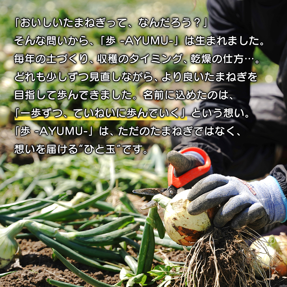 淡路島玉ねぎ 歩-AYUMU- 10kg　玉ねぎ