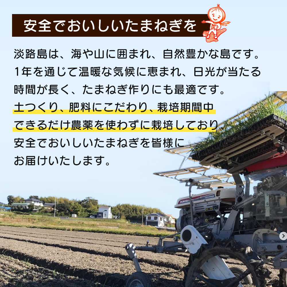 淡路島玉ねぎ 歩-AYUMU- 10kg　玉ねぎ