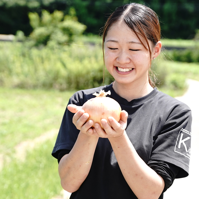 淡路島玉ねぎ 大きな2Lサイズ10kg　玉ねぎ