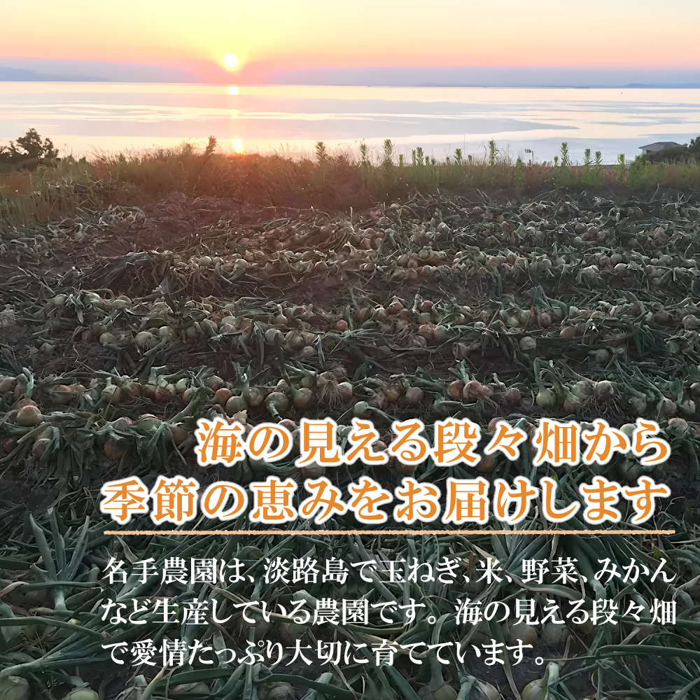 【新玉ねぎ】名手農園の淡路島特産玉ねぎ 5kg【発送時期2026年3～5月頃】
