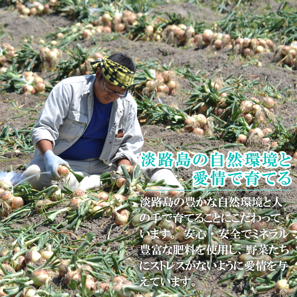 【新玉ねぎ】名手農園の淡路島特産玉ねぎ 5kg【発送時期2026年3～5月頃】