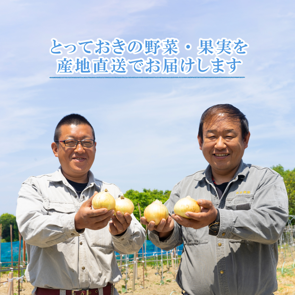 【新玉ねぎ】名手農園の淡路島特産玉ねぎ 5kg【発送時期2026年3～5月頃】