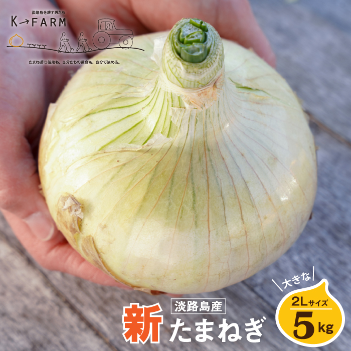 【新玉ねぎ】淡路島たまねぎ 大きな2Lサイズ 5kg【発送時期：2026年3月下旬～5月頃】　玉ねぎ