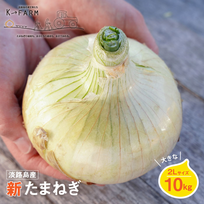 【新玉ねぎ】淡路島玉ねぎ 大きな2Lサイズ10kg【発送時期：2026年3月下旬～5月頃】