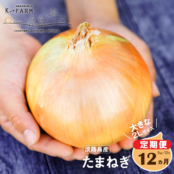 【玉ねぎ定期便12ヶ月】淡路島たまねぎ 大きな2Lサイズ 5kg　玉ねぎ
