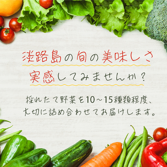 【定期便】淡路島の旬の野菜セット 3ヶ月コース　野菜詰め合わせ