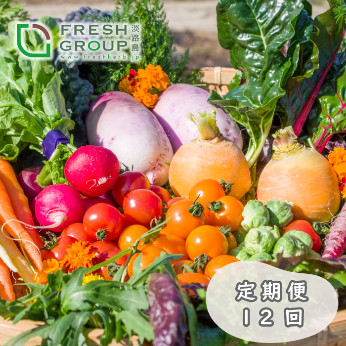 【定期便】彩り野菜と香るハーブセット 12回お届け　野菜
