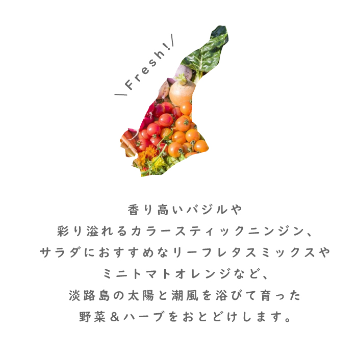 【定期便】彩り野菜と香るハーブセット　6回お届け　野菜