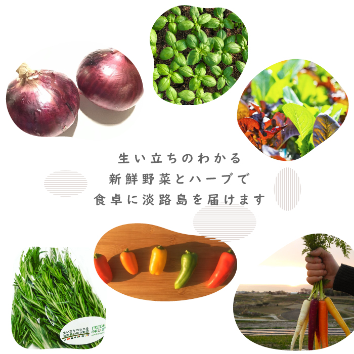 【定期便】彩り野菜と香るハーブセット　6回お届け　野菜