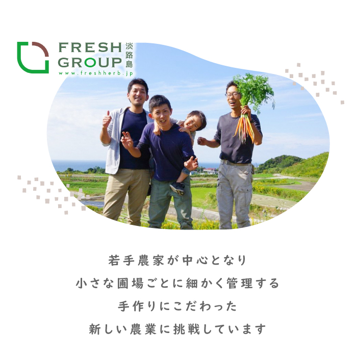 【定期便】彩り野菜と香るハーブセット　6回お届け　野菜