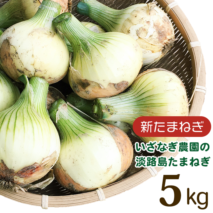 【新玉ねぎ】いざなぎ農園の淡路島玉ねぎ 5kg【発送時期2026年5月頃】