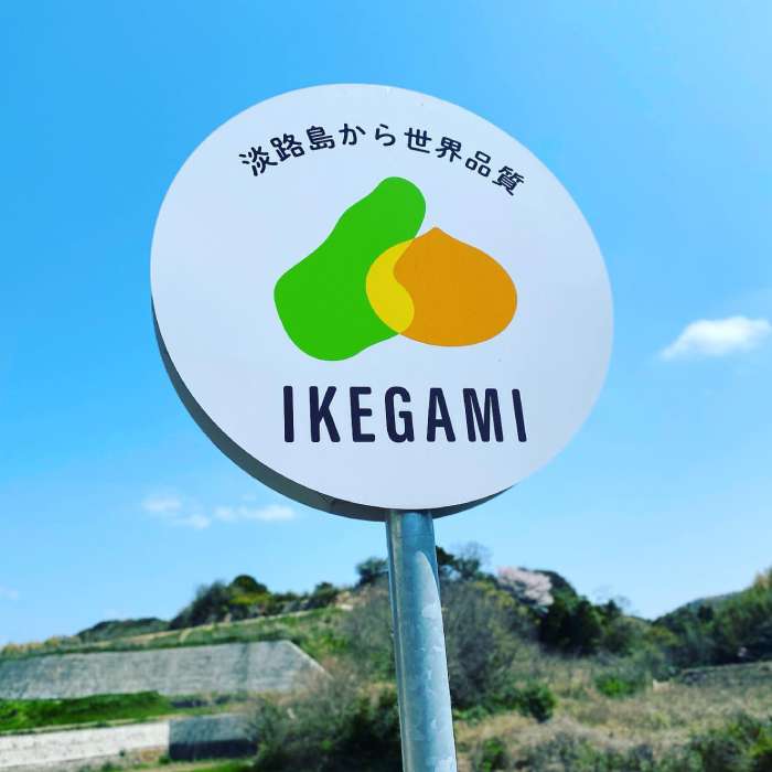 【定期便】淡路島 池上農場の完熟玉ねぎ「あやたけ」5kg　12ヶ月コース　玉ねぎ