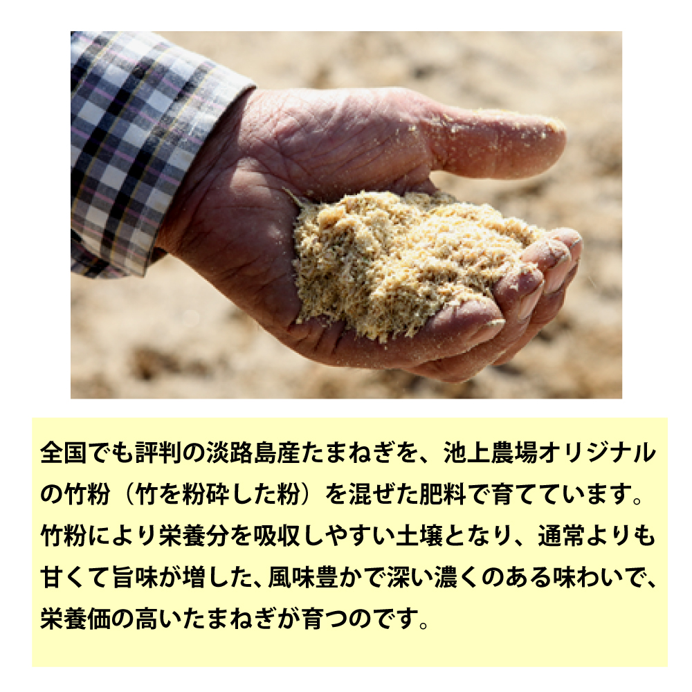 淡路島　池上農場の完熟玉ねぎ「あやたけ」5kg　玉ねぎ